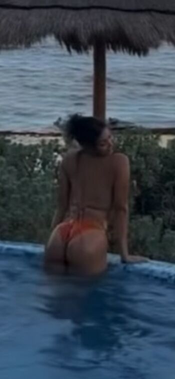 Bryceideeleos